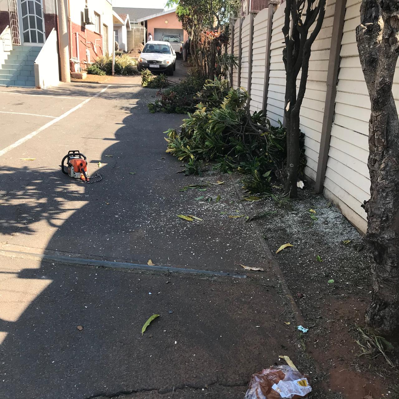 WhatsApp Image 2025-01-23 at 08.10.56_5ed4a548 WhatsApp Image 2025-01-23 at 08.10.56_5ed4a548